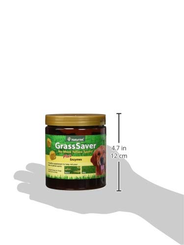 Soft Chews