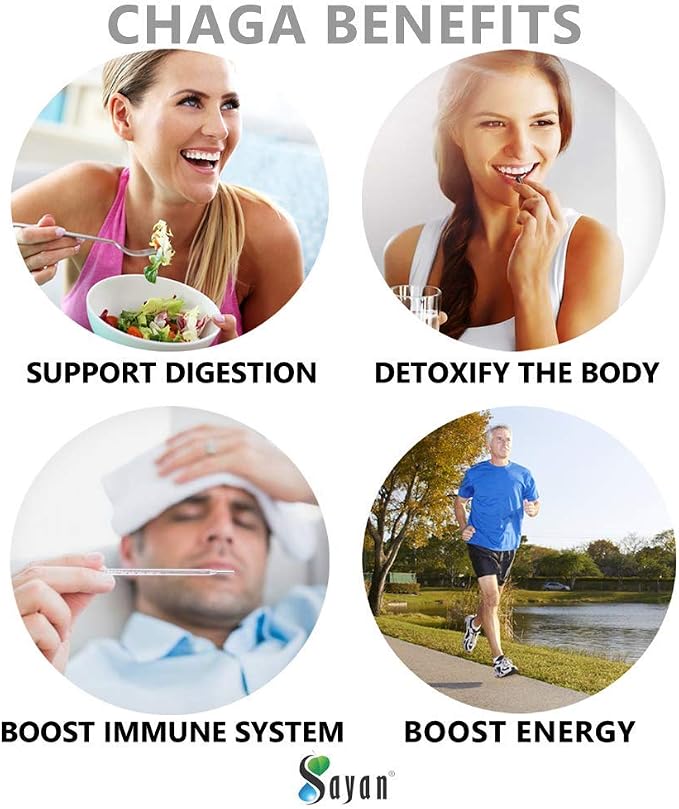 Chaga and Reishi Capsules + 20 Chaga Tea Bags Box