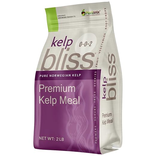 Kelp Bliss (2lbs)