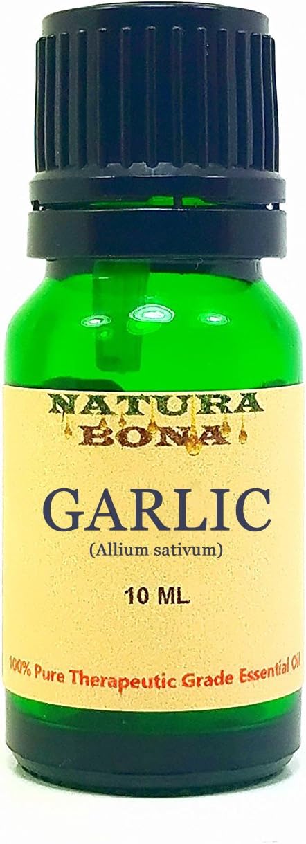 Garlic