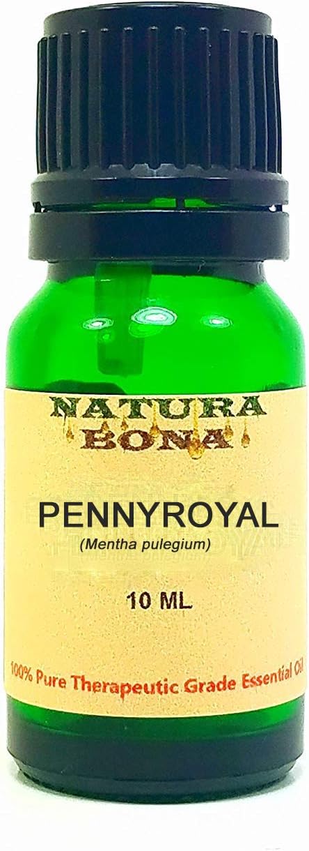 Pennyroyal