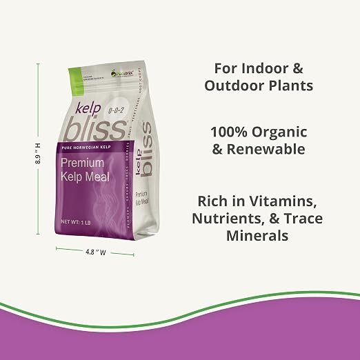 Kelp Bliss (1lb)