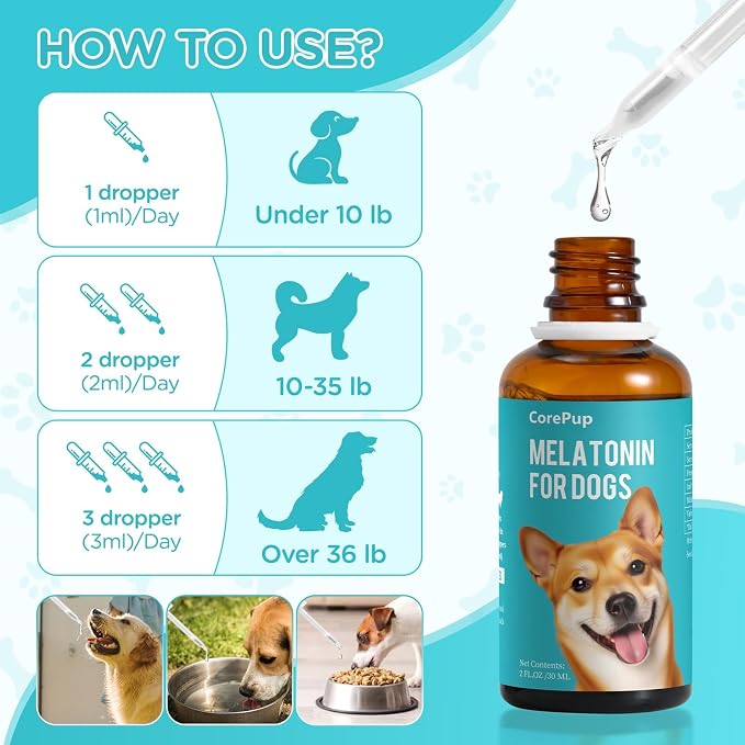 Melatonin for Dogs