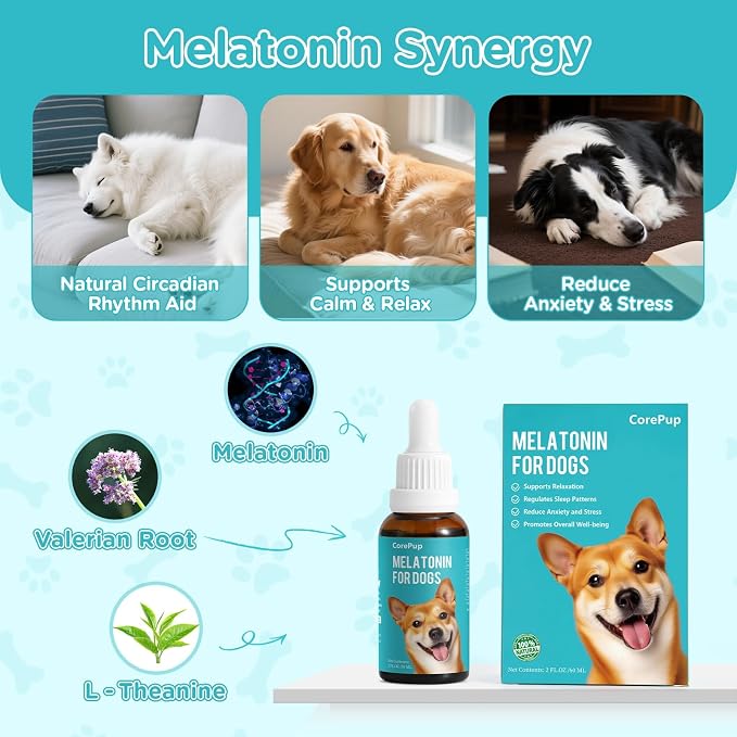 Melatonin for Dogs