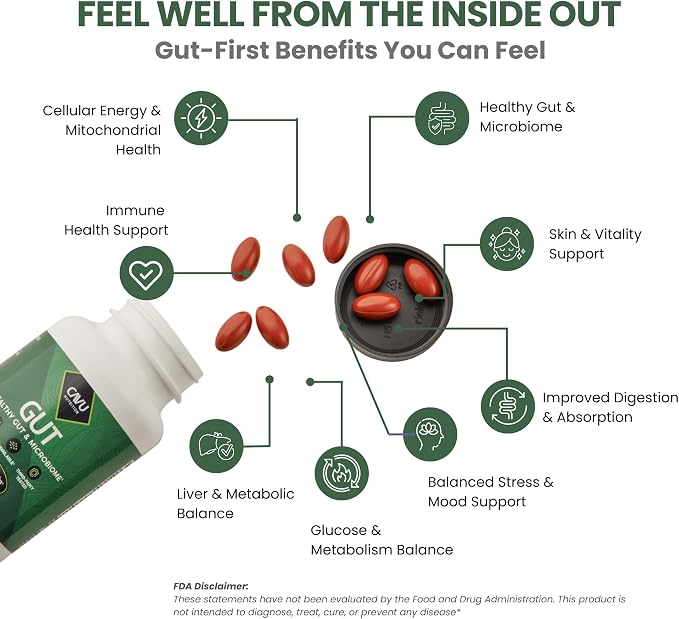 Green Pack (Gut)