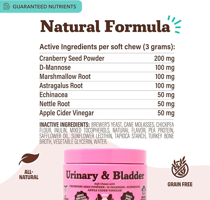 Urinary & Bladder