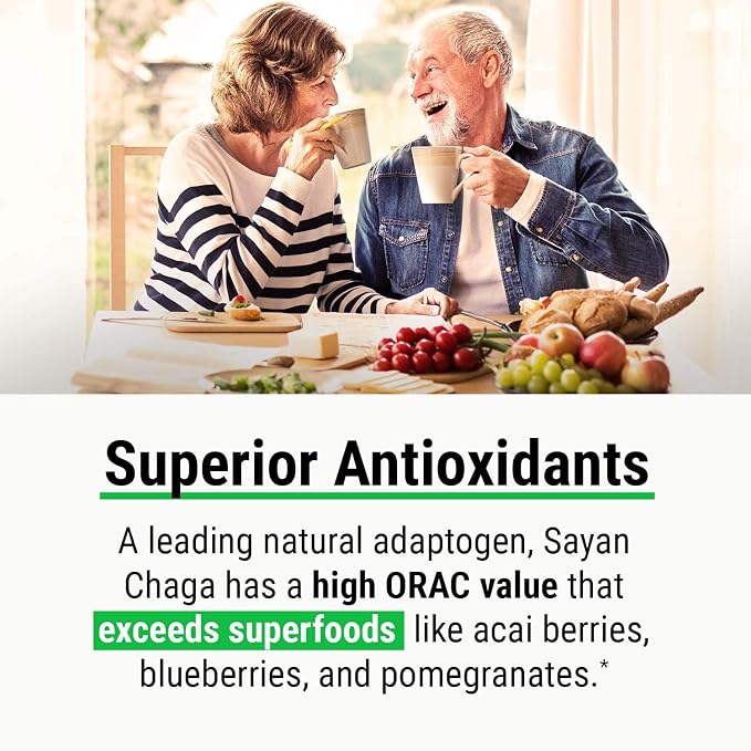 Chaga Extract Powder 4 Oz + 20 Tea Bag Box