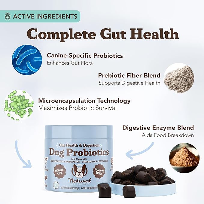 Probiotic
