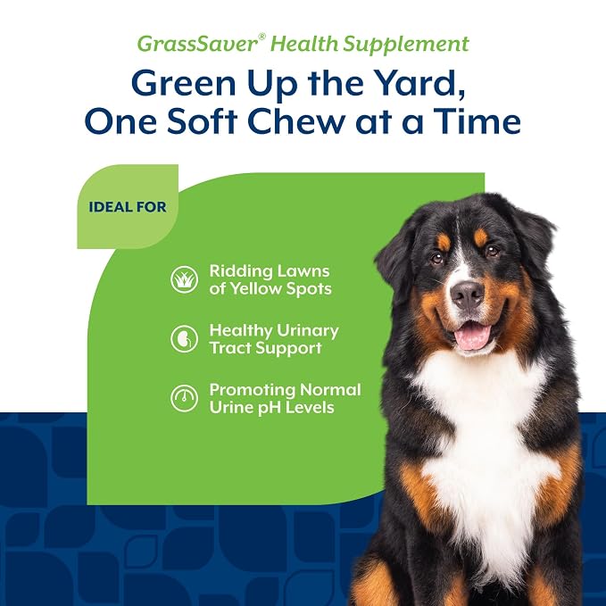 Soft Chews