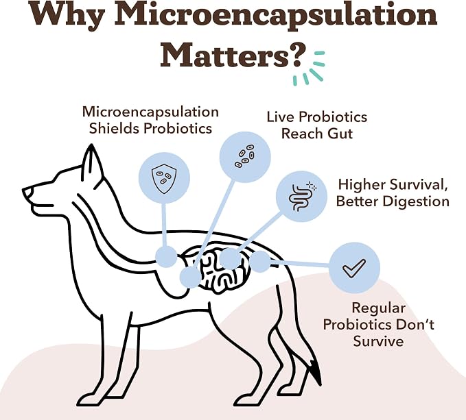 Probiotic
