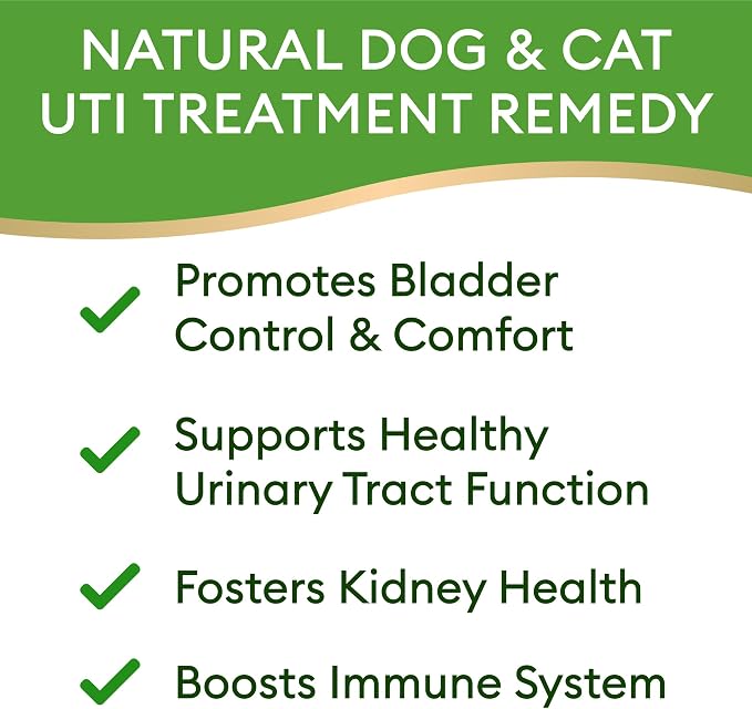 UTI