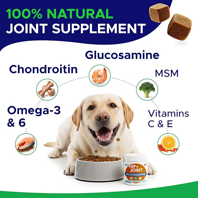 Hip & Joint