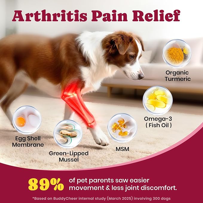 1.(HIP & JOINT) Mobility Chews