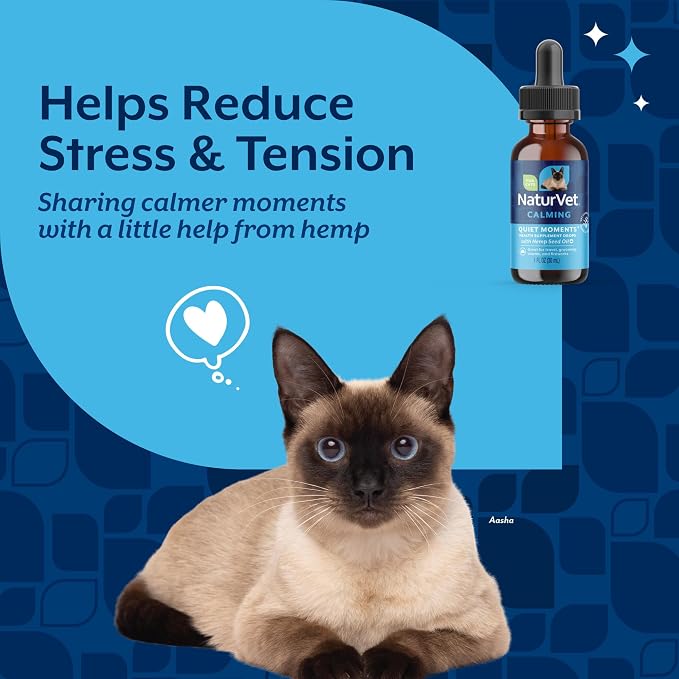 Quiet Moments Plus Hemp