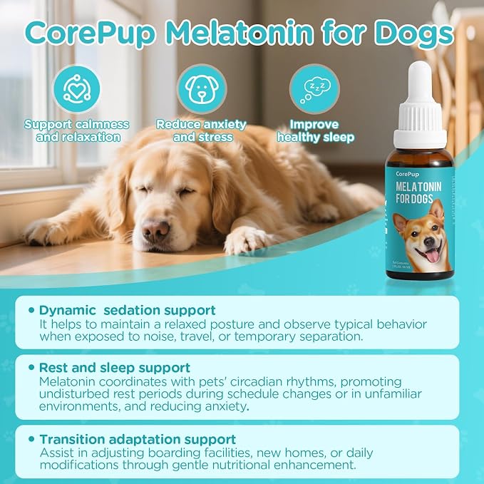 Melatonin for Dogs