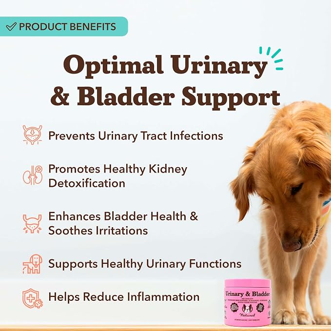Urinary & Bladder