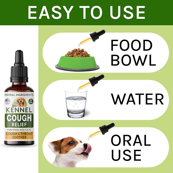 Kennel Cough
