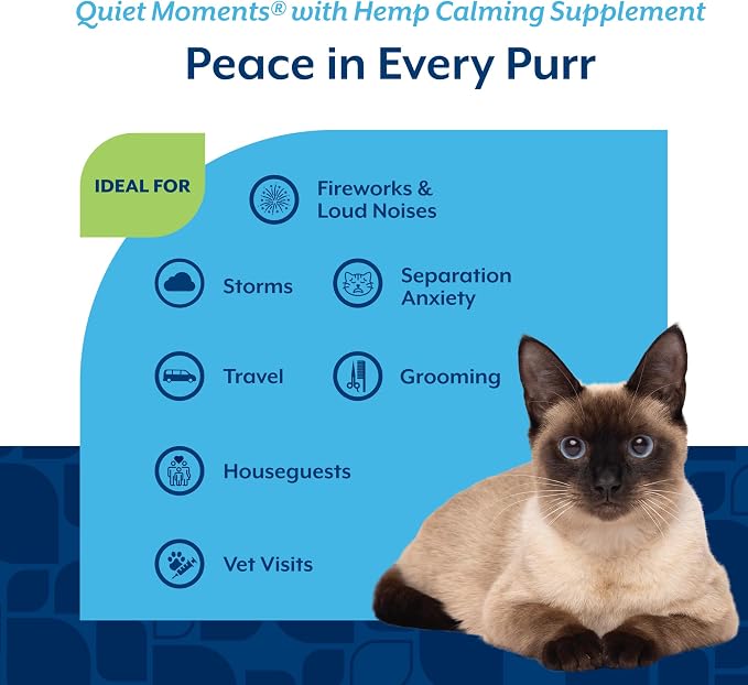 Quiet Moments Plus Hemp