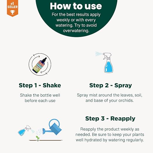 ALOE VERA Plants
