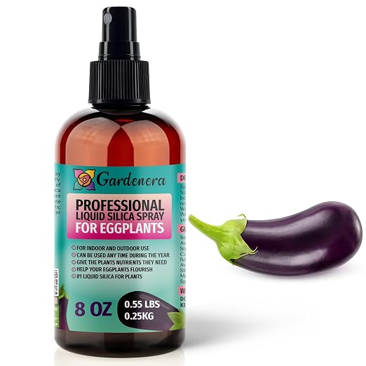 EGGPlants