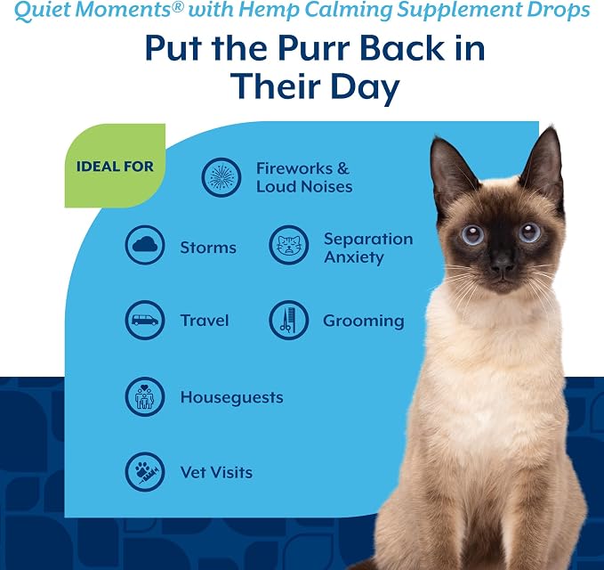 Quiet Moments Plus Hemp