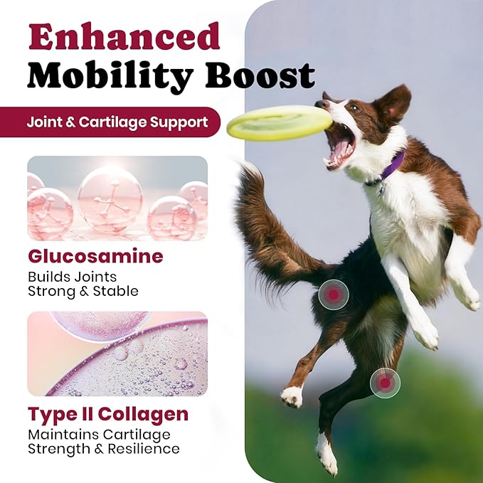 1.(HIP & JOINT) Mobility Chews