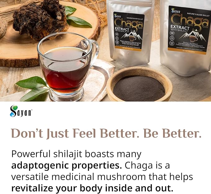 Chaga Extract + Shilajit