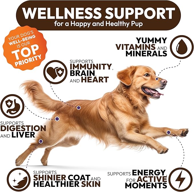 Mushroom Multivitamin