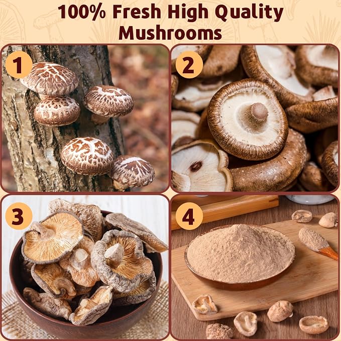Shiitake Mushroom