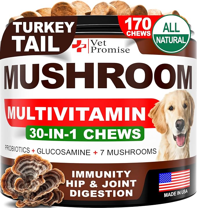 Mushroom Chews