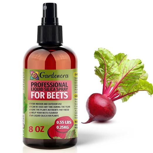 BEETS Plants