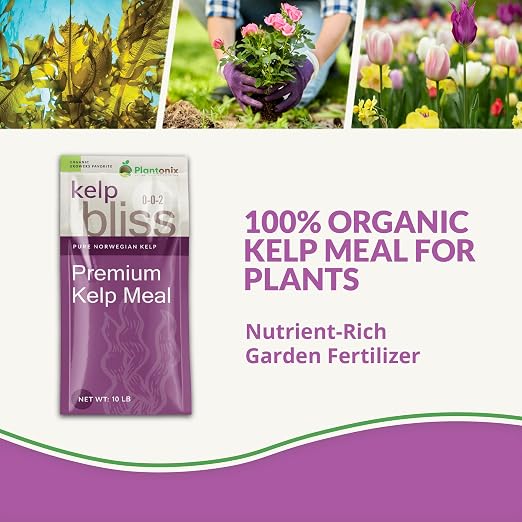 Kelp Bliss (40lbs)