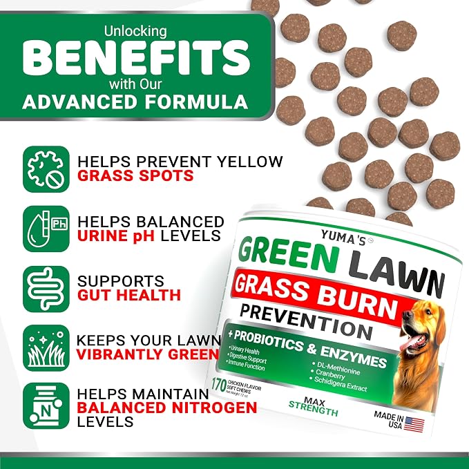 Green Lawn + Probiotic