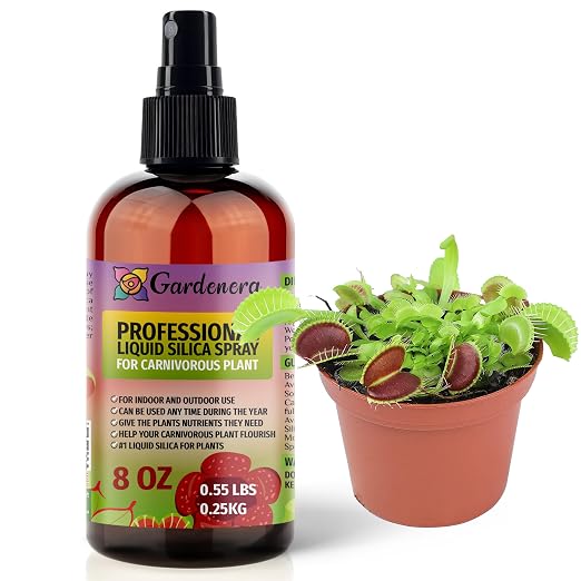 CARNIVOROUS Plants