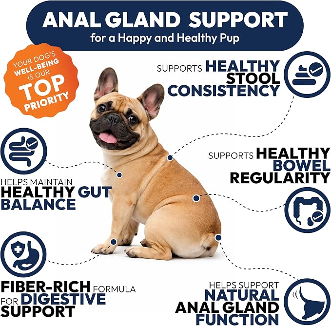 Anal Gland Support
