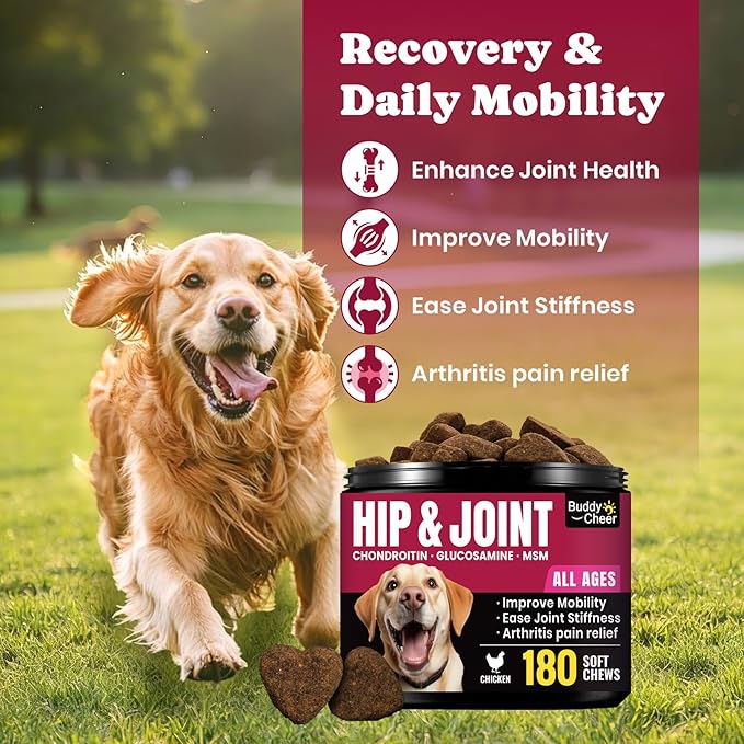 1.(HIP & JOINT) Mobility Chews