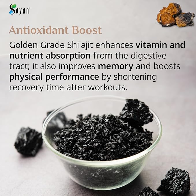 Chaga Extract + Shilajit