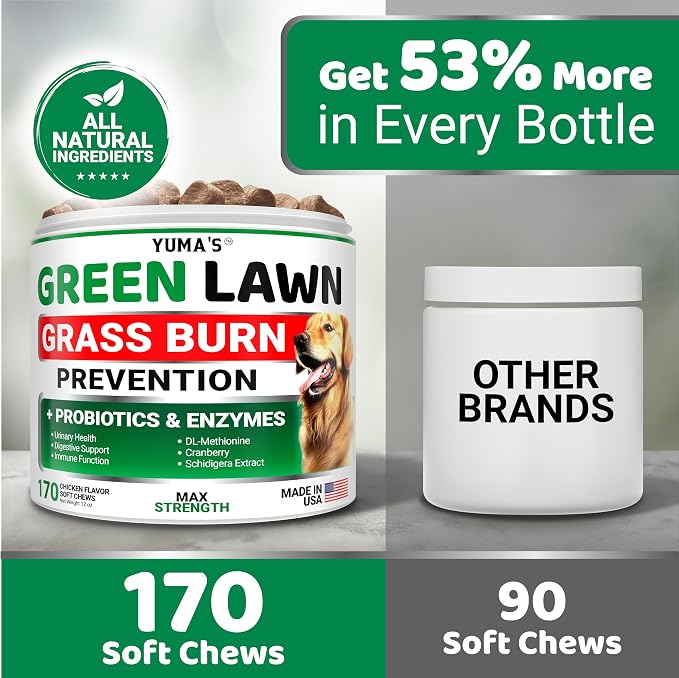 Green Lawn + Probiotic