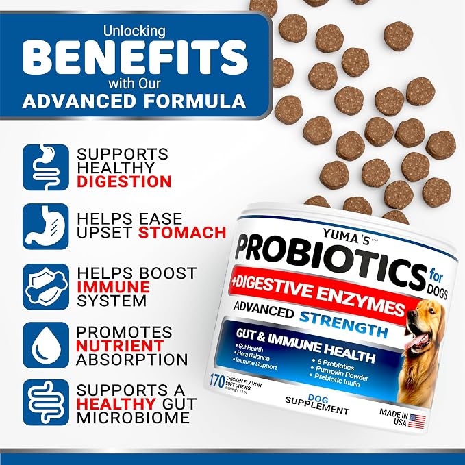 Probiotics + Enzymes