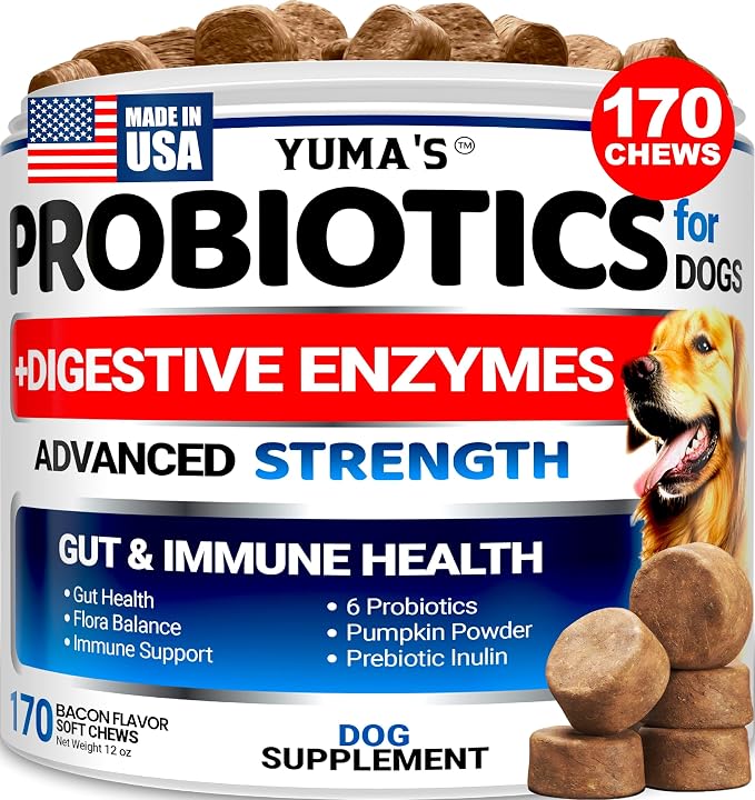 Probiotic Chews