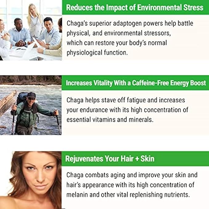 Chaga Extract & Shilajit Powder 2 Oz + Chaga 20 Tea Bags Box