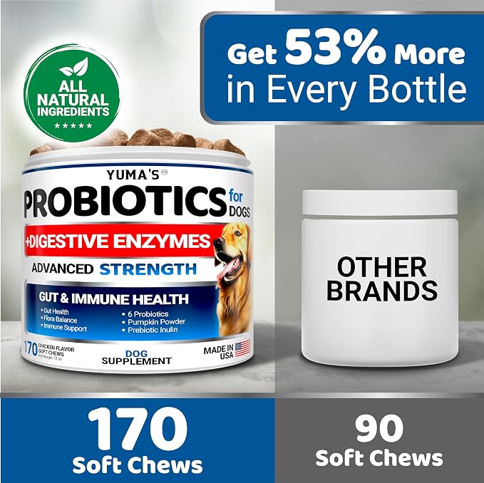 Probiotics + Enzymes