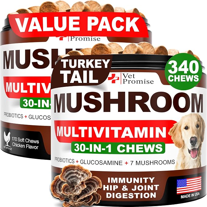 Mushroom Treats