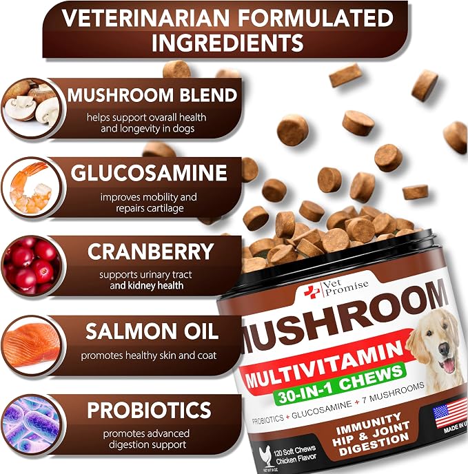 Mushroom Treats