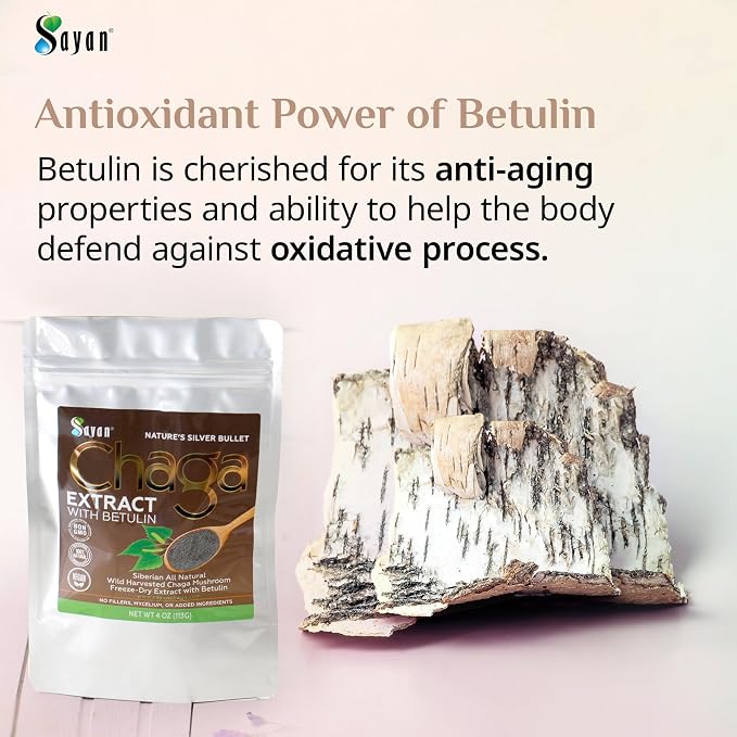 Chaga Extract + Betulin