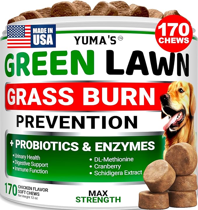 Green Lawn + Probiotic
