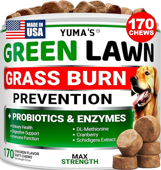 Green Lawn + Probiotic