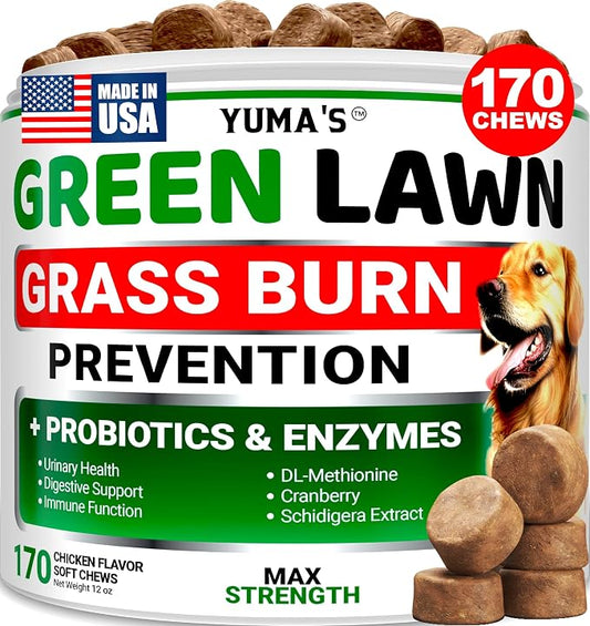 Green Lawn + Probiotic