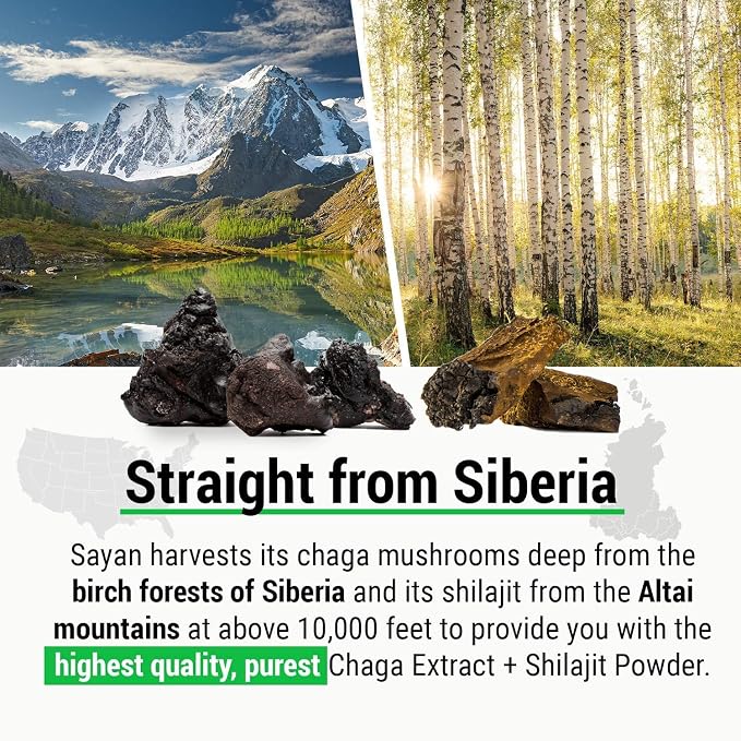 Chaga Extract & Shilajit Powder 2 Oz + Chaga 20 Tea Bags Box