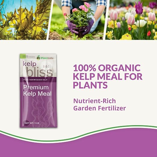 Kelp Bliss (5lbs)